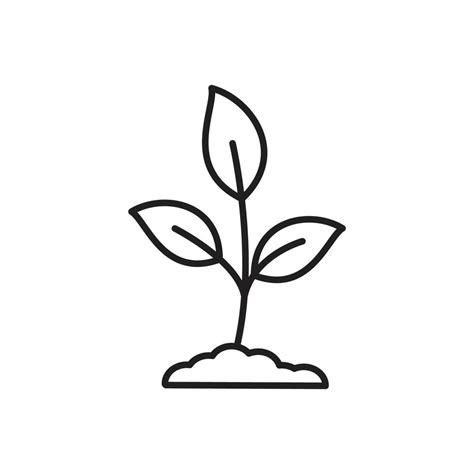 Plant Icon Garden Icon Vector Flat Style Illustration 12607087 Vector