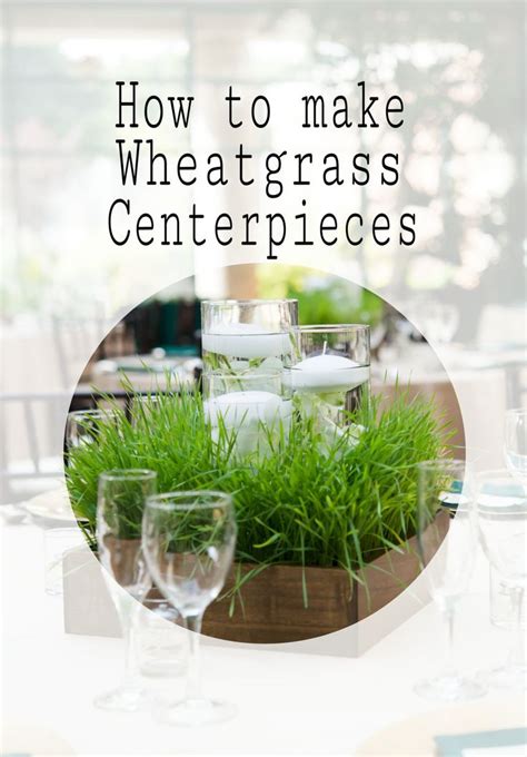 Wheatgrass Centerpieces Wheat Grass Centerpiece Grass Centerpiece Wheat Grass