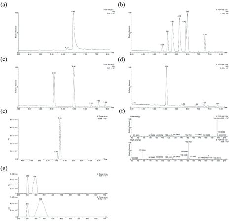 Mg Representative Chromatograms By Uplc Esi Qtof Ms In A Positive Ion Download Scientific