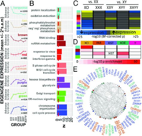 Wgcna Of Sex Chromosome Dosage Effects A Dot And Line Plots