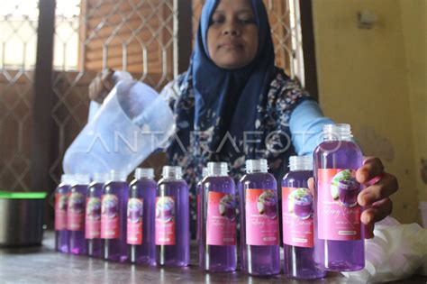 MINUMAN BUNGA TELANG ANTARA Foto