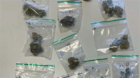 Osnabrücker Zoll stellt Haschisch und Marihuana sicher NOZ