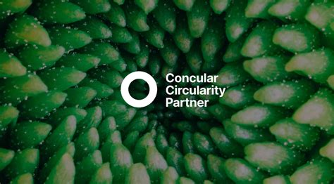 Circularity Partner Concular Zirkul Res Bauen Concular