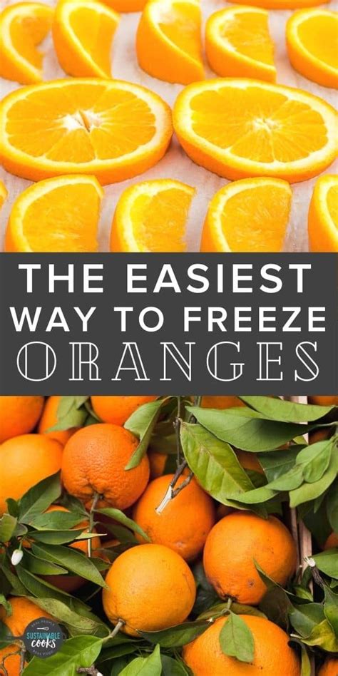 Can You Freeze Oranges Sustainable Cooks