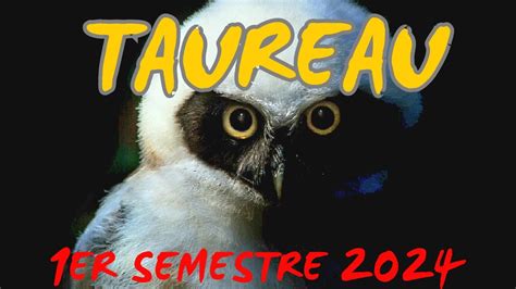 Taureau 1er Semestre 2024 YouTube