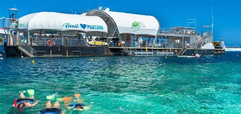Cruise Whitsundays Pontoon Snorkeldive Dive In Australia