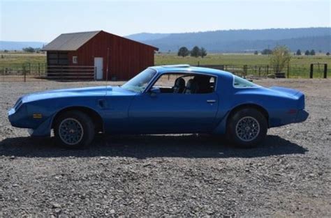 Buy Used 1981 Pontiac Firebird Trans Am Coupe 2 Door In Lakeview