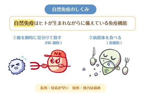 ドクターインタビュー1：免疫を強化しよう！ 乳酸菌生成エキス研究室labo