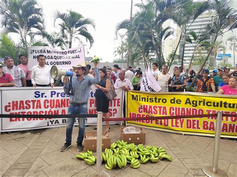 Productores De Banano Exigen Control Al Precio De La Caja Para Exportación Periódico Duna