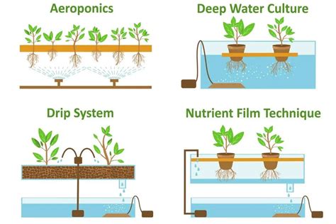 High Pressure Vs Low Pressure Aeroponics Compared Gardenia Organic