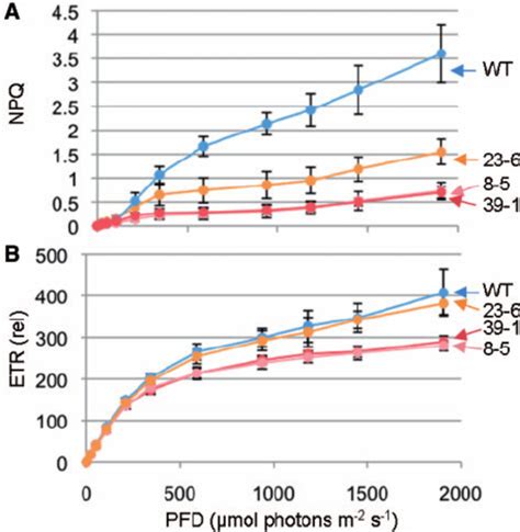 Light Intensity Dependence Of The P700 Oxidation Ratio Á A Á A Max Download Scientific