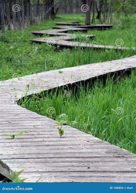 Winding Path Stock Image Image Of Walk Outdoor Forest 106855