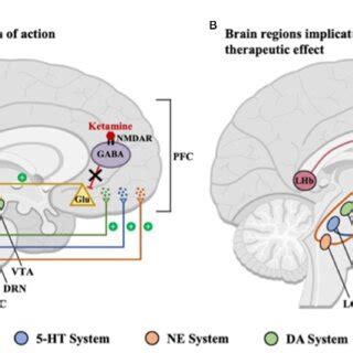 (PDF) Suicide prevention and ketamine: insights from computational modeling