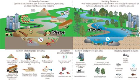 Agricultural Runoff Diagram