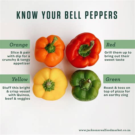 Bell Peppers 101 Nutrition Facts And Health Benefits Artofit