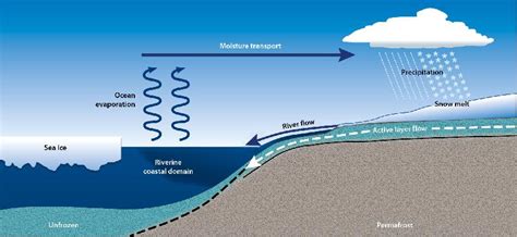 Figure 717 Schematic Representation Of The Nearshore Hydro Ecological