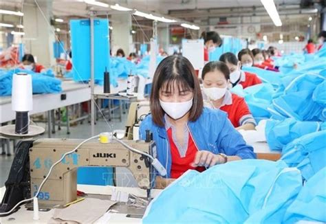 Vietnams Garment Textile Industry Seeks To Promote Green Production