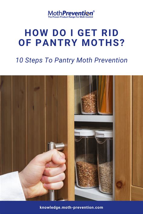 How To Get Rid Of Pantry Moths Naturally - 10 Steps To Pantry Moth Con | Pantry moths, Pantry ...