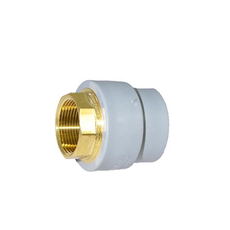 2 Socket Fusion X 1 1 2 Fpt Female Threaded Lead Free Brass Transition Nd 63mm Pp Rct Ppr Supply