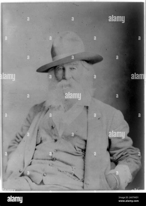 Walt Whitman Half Length Portrait Seated Facing Left Wearing Hat