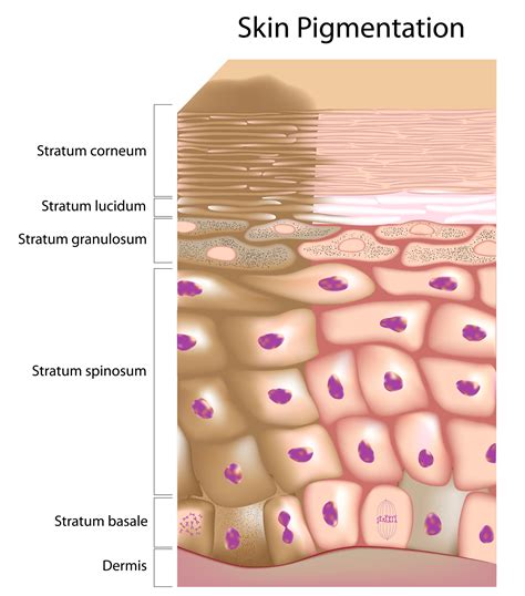 Pigmentary Disorders Skin Health Beauty