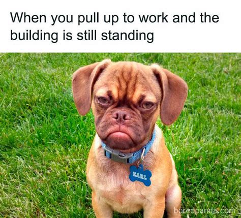 45 Hilarious Work Memes To Look At While Youre Pretending To Be