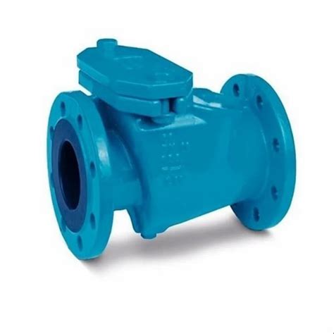 Cast Iron Reflux Valves At Rs Piece Ball Valves In Thane Id