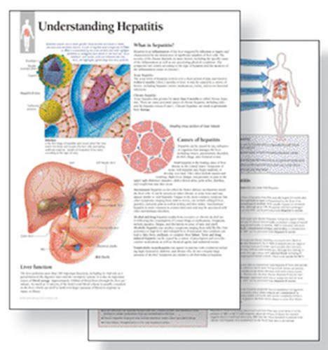 Understanding Hepatitis Study Set Replacement Pads Patient Education