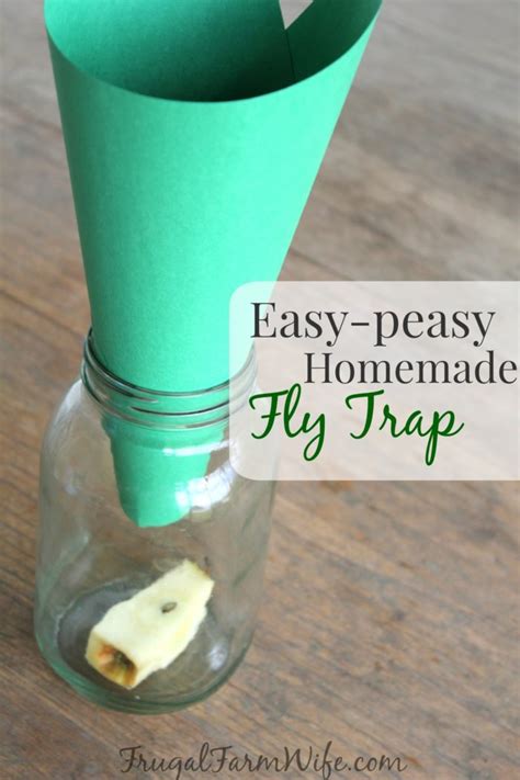 Homemade Fly Trap - Totally Works! | The Frugal Farm Wife