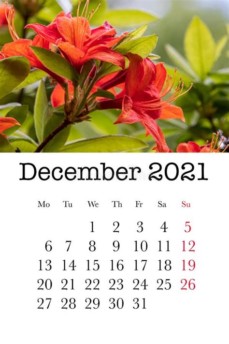 Diciembre 2021 Tarjeta De Calendario Patrón Imprimible Para Niños