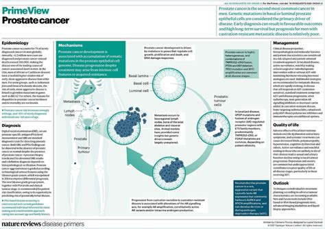 Nature Reviews Disease Primers On Twitter Prostatecancer Is The