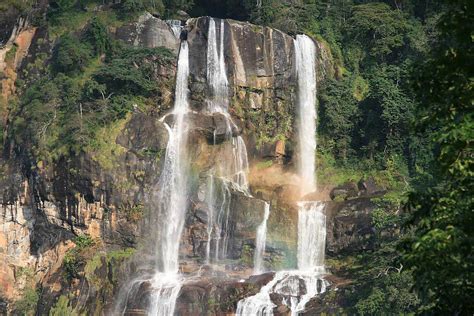 Udzungwa Mountains National Park Ecological Hotspot