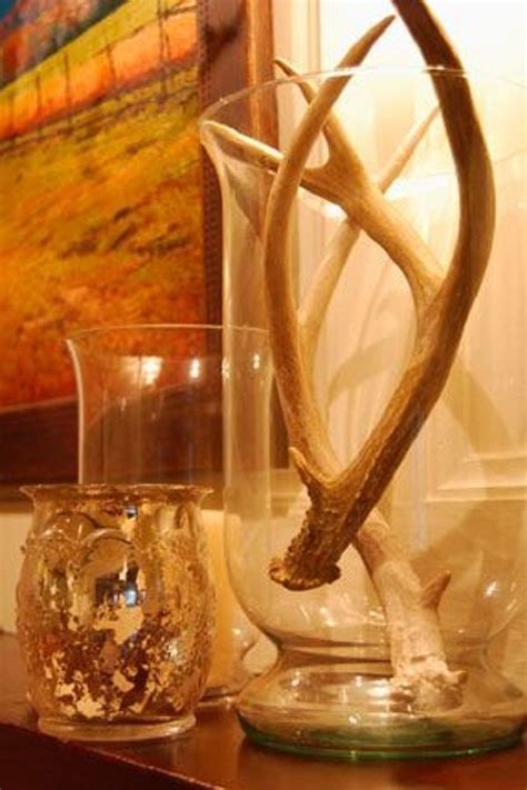 Deer Antler Art Elk Antler Mount Antlers Deer Mounts Leather European