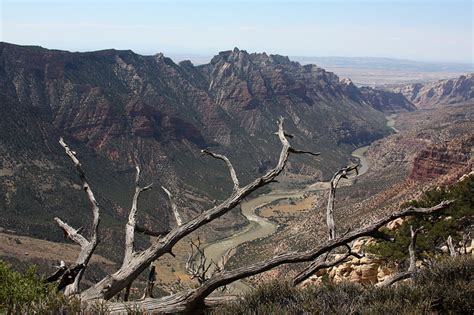 Tips From a Ranger: Where to Hike, How to Camp in Dinosaur National Monument | GearJunkie