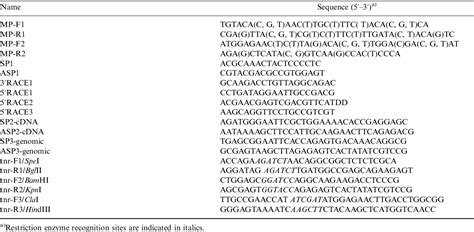 Table 1 From Agrobacterium Tumefaciens Mediated Transformation Of The