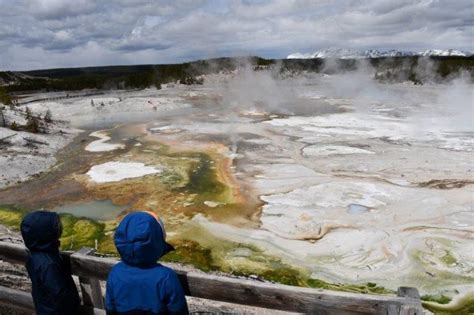 Parc de yellowstone itinéraire et bons plans lors d un road trip