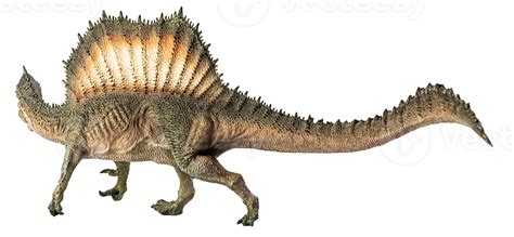 Spinosaurus Dinosaure Sur Fond Blanc Png