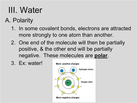 III. Water A. Polarity