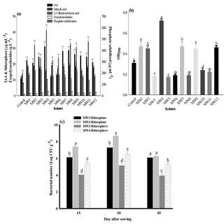 (a) Biofilm formation on glass coverslips by fluorescent Pseudomonas ...