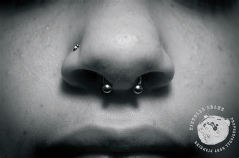 Septum Piercing By Nicholas Adams Of Visions Tattoo Piercing And Art