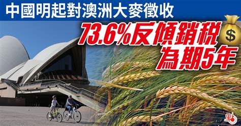 中國明起對澳洲大麥徵收73 6 反傾銷稅 為期5年 即時 點新聞