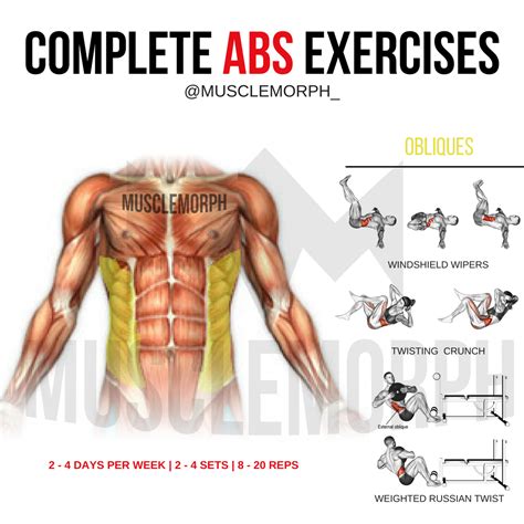 Abs Workout Exercise 6 Pack Musclemorph Musclemorphsupps Abs Workout Exercise Abs