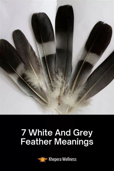 7 White And Grey Feather Meanings Khepera Wellness Feather Meaning