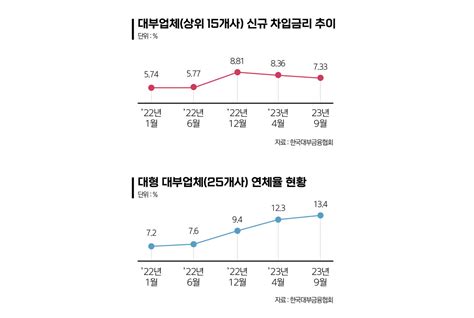 법정금리 인상 재점화해외 ‘연동형 규제 뭐길래