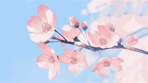 Sakura tree's flowers [1920x1080] : wallpaper | Cute desktop wallpaper, Pink wallpaper desktop ...