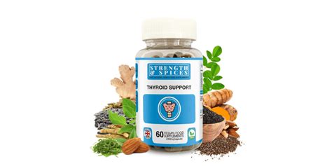 17 Best Thyroid Supplement For 2024 Choosing Wisely