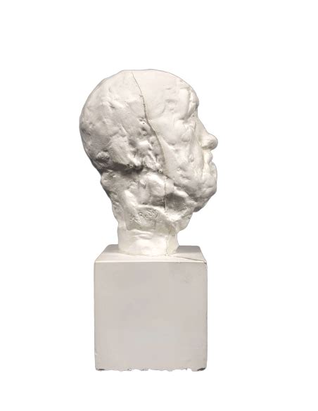 La M Scara Del Hombre De La Nariz Rota Segun Auguste Rodin