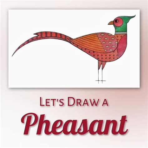 How To Draw A Pheasant Booth Dimock Memorial Library