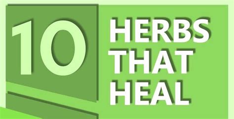 Top 10 Herbs That Heal Infographic Healing Herbs Herbs For Health