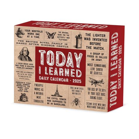 Today I Learned Til 2025 6 2 X 5 4 Box Calendar Willow Creek Press